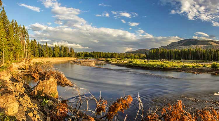 Yellowstone Hiking Tours and Backpacking Trips