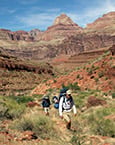 Yellowstone hiking tour company