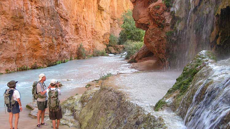 Havasu Spring Break >> Havasu Falls Hiking Tours | Wildland Trekking Havasu Spring Break >> Havasu Falls Hiking Tours | Wildland Trekking