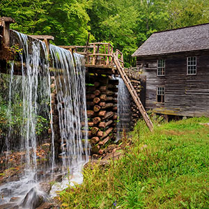 PICTURE-DESCRIPTION