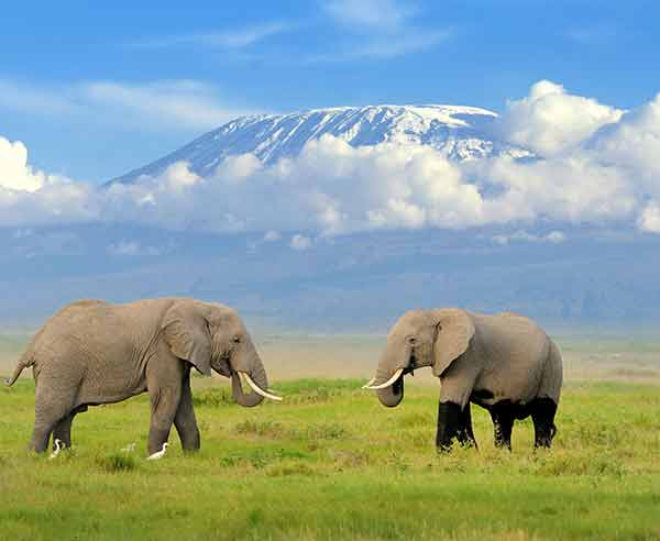 Nepal Hiking Tours