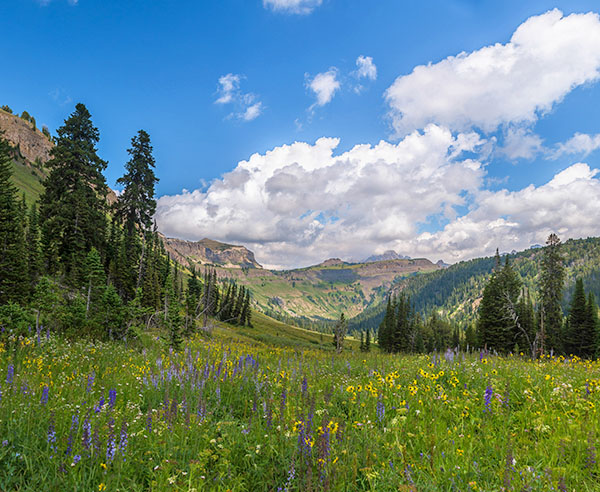Tetons backpacking trips