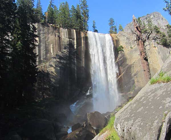 Yosemite Visitor Information