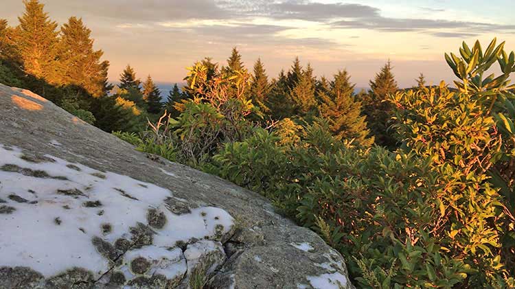 Shining Rock Day Hike