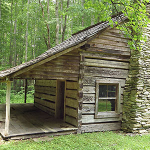 PICTURE-DESCRIPTION