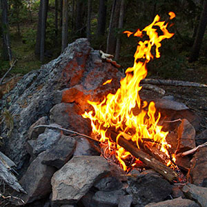PICTURE-DESCRIPTION