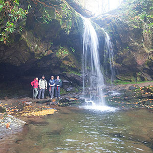 PICTURE-DESCRIPTION