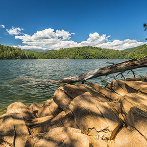 PICTURE-DESCRIPTION