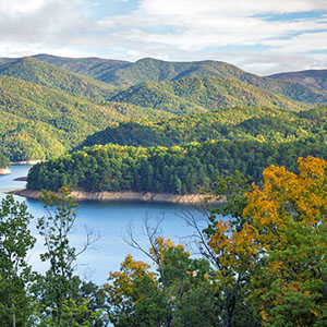 PICTURE-DESCRIPTION