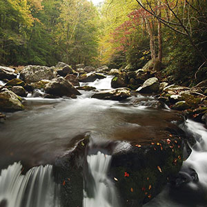PICTURE-DESCRIPTION