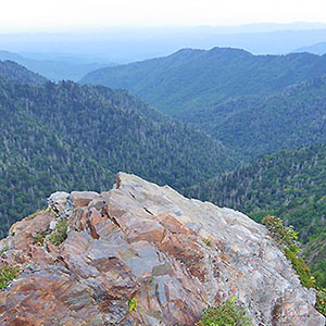 PICTURE-DESCRIPTION