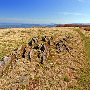 PICTURE-DESCRIPTION