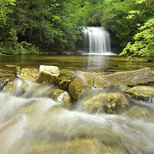 What's Unique about the Smokies