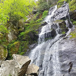 PICTURE-DESCRIPTION