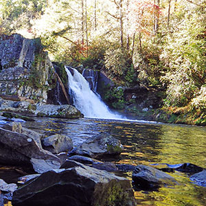 When to Visit the Smokies