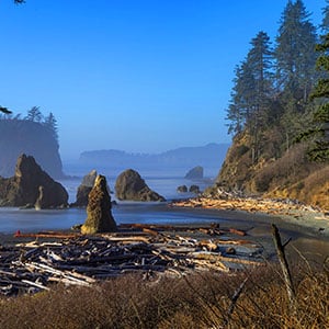 Pacific Coast in Olympic National Park