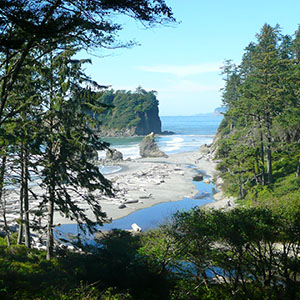 Coastal Beauty in Olymipc National Park