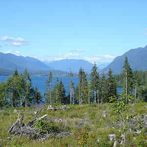 Lake in Olympic National Park