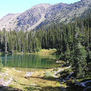 Alpine lake in Olympic