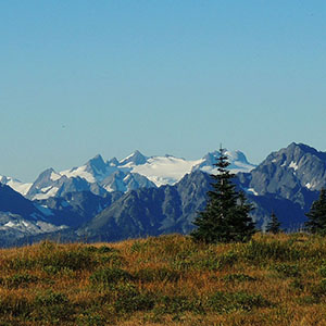 Stunning Mountains in Olympic