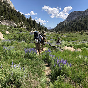 Hiking Trail in Rocky Mountain National Park