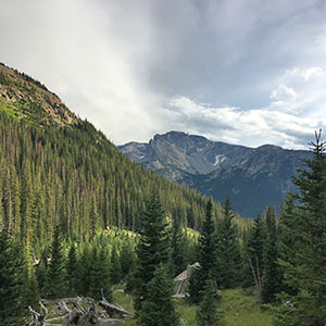 Rocky Mountain Views