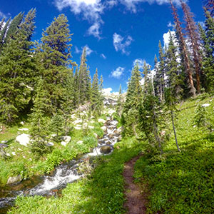 Rocky Mountain hikers
