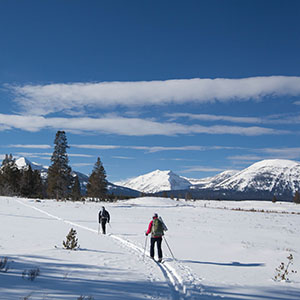 Colorado Skiing