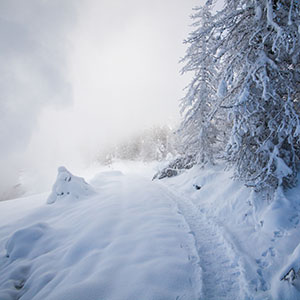Drawbacks of Winter