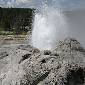 Yellowstone Geyser