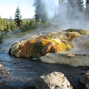 Yellowstone Geyser