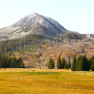 Family Time In Jackson Hole And Yellowstone Brownell Travel