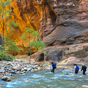 Zion hiking tours